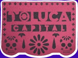 Toluca Capital